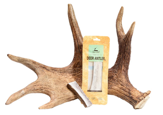 Deer Antler Dog Chew