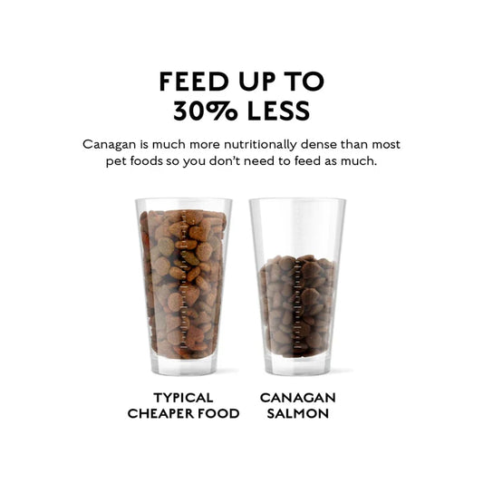 Country Game for Puppies & Adults