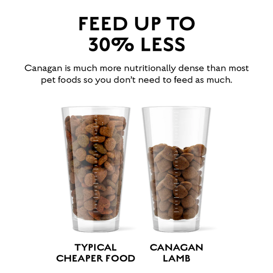 Grass Fed Lamb for Puppies & Adults