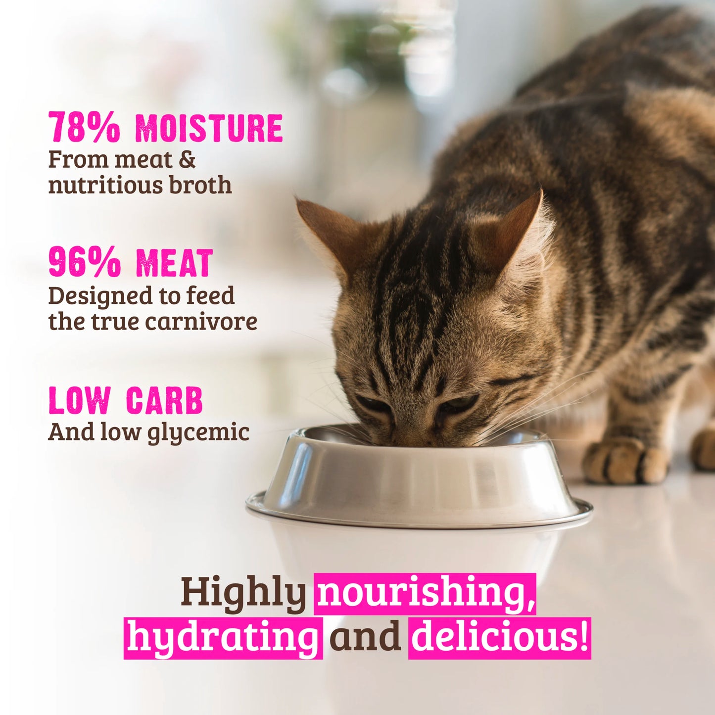 96% Turkey & Turkey Liver Pate Cat Food