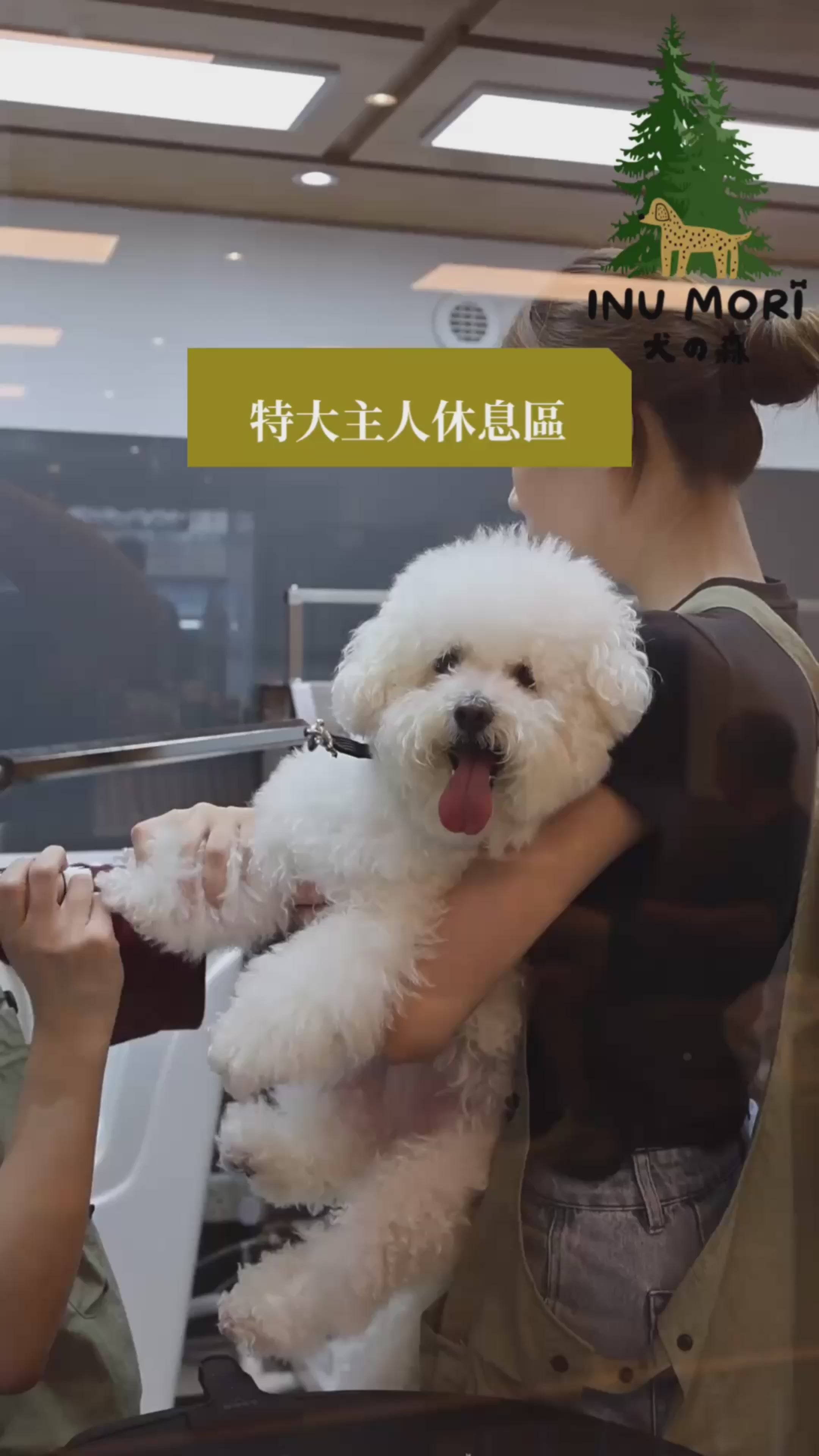 Load video: 